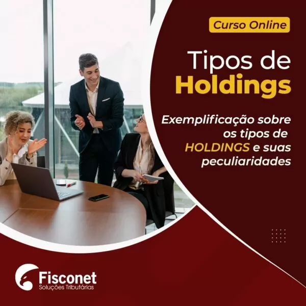 TIPOS DE HOLDINGS 2022